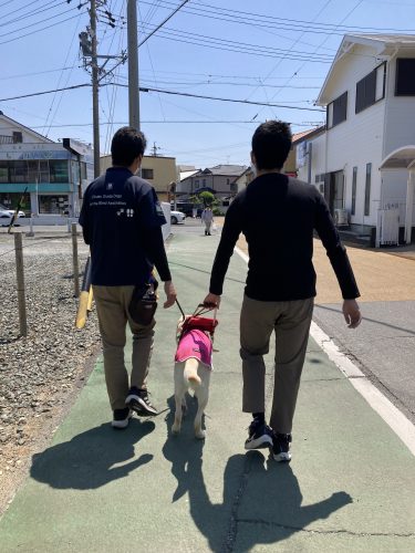 盲導犬との歩行体験の様子