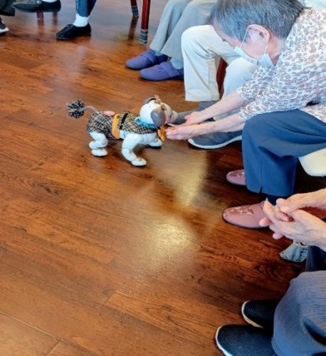 こぺると戯れる利用者様の写真